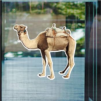 小物 HYEON ted stole camel HYEON (ヘヨン) official online store